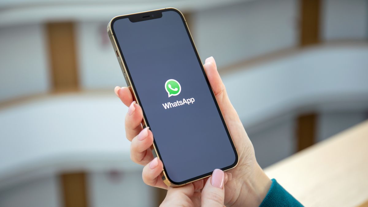 WhatsApp на телефоне