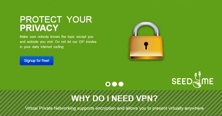 Seed4Me VPN